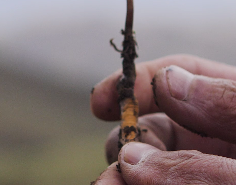 微信截圖_20210402144104.png 微信截圖_20210402144104.png