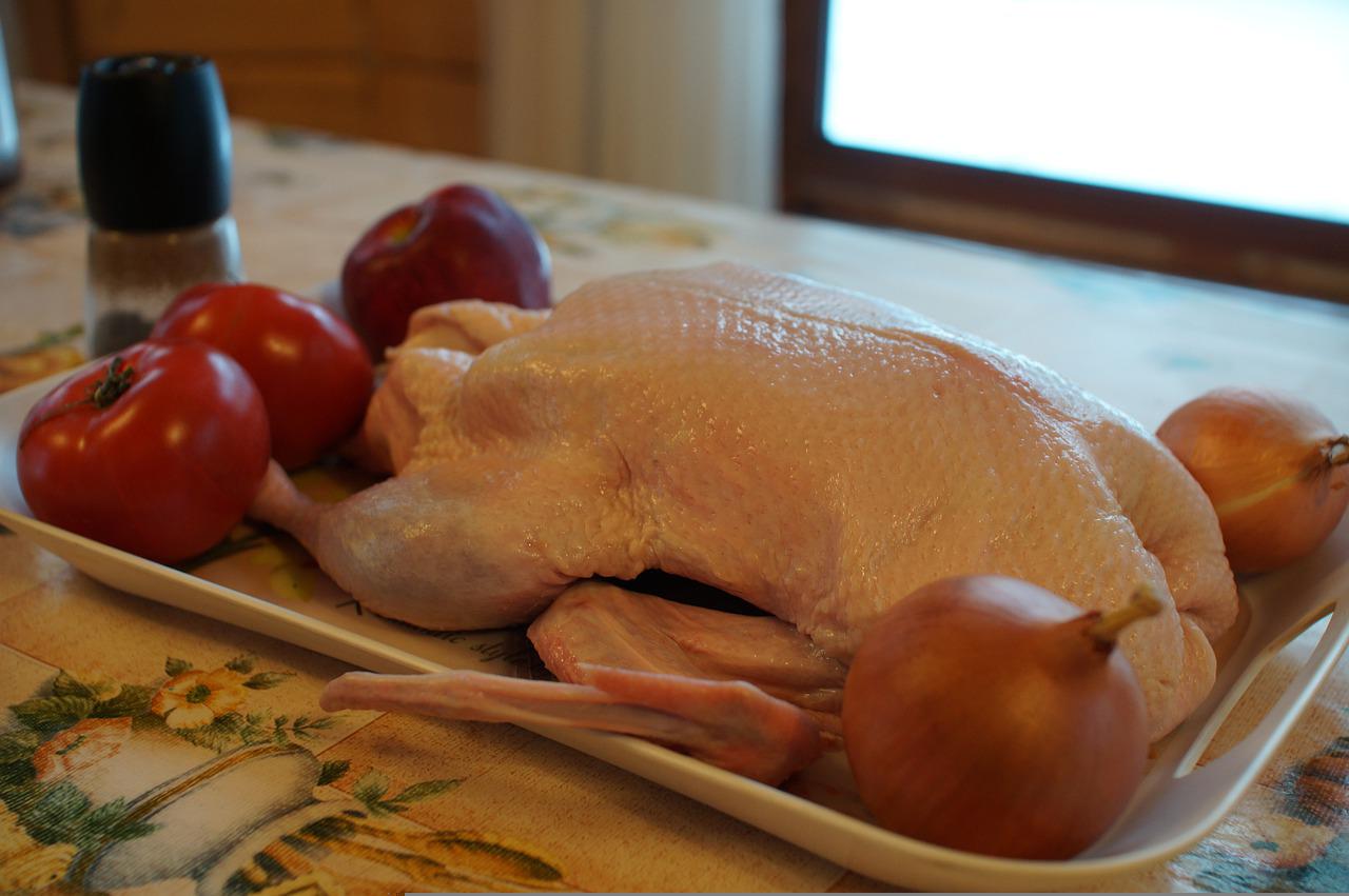 duck-g04cc3d24d_1280.jpg duck-g04cc3d24d_1280.jpg