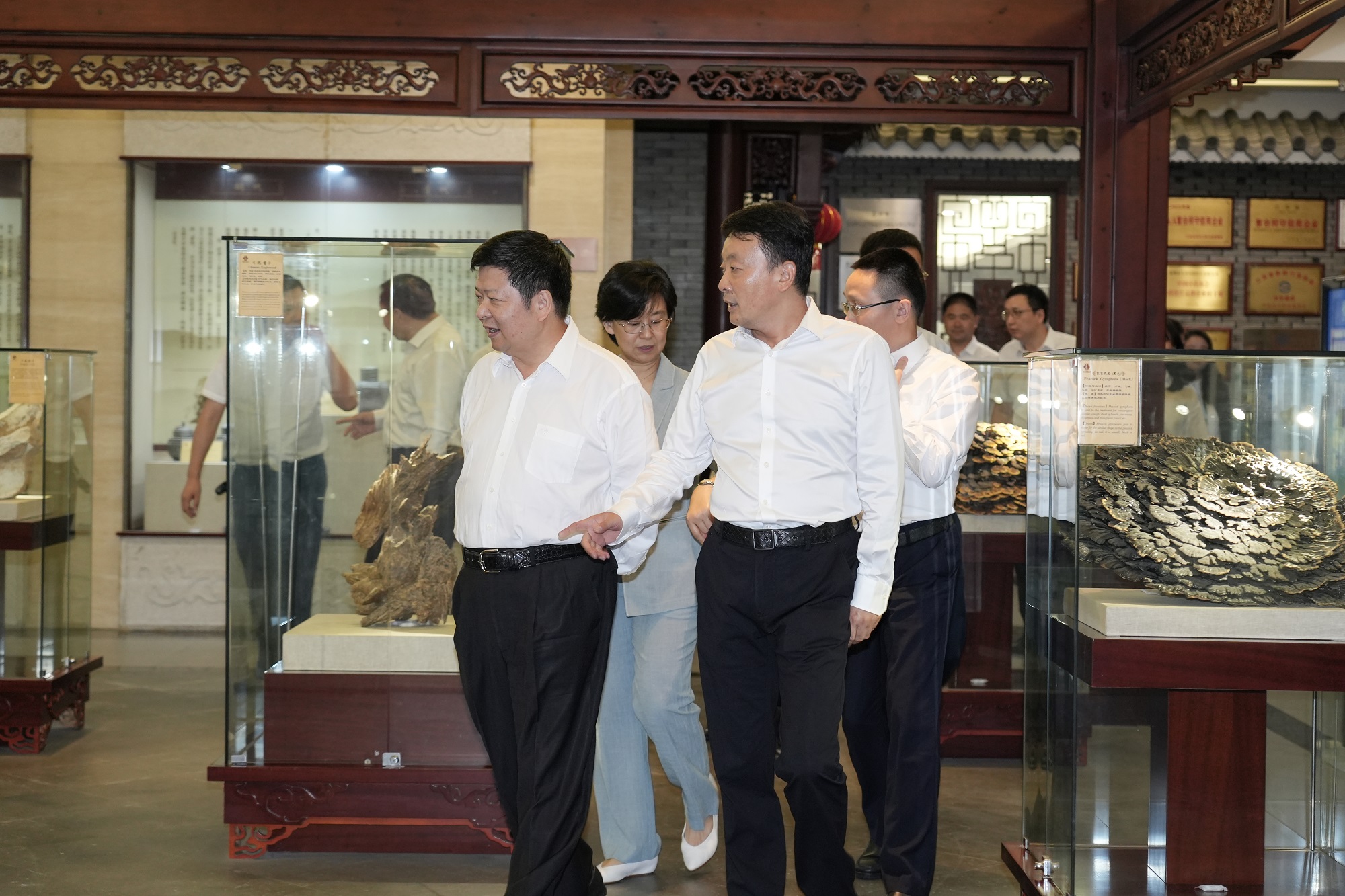 DSC06126.jpg DSC06126.jpg