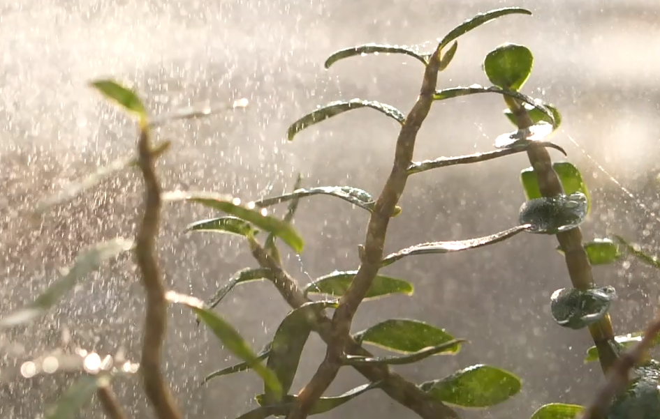 微信截圖_20210928142340.png 微信截圖_20210928142340.png