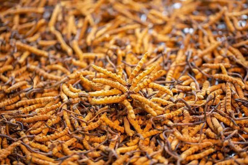 640 (4).jpg 640 (4).jpg