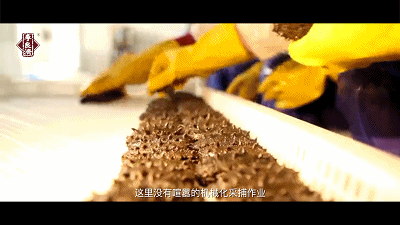 640 (1).gif 640 (1).gif