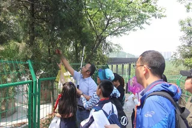 走進李良濟，尋藥樹山中(圖2)