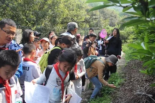 走進李良濟，尋藥樹山中(圖3)